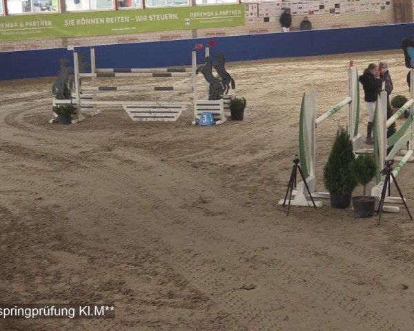 Reitturnier Isterberg 2020