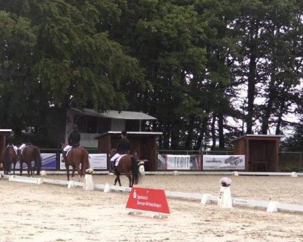 jumper Lawina 15 (Holsteiner, 2008)