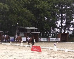 jumper Lawina 15 (Holsteiner, 2008)