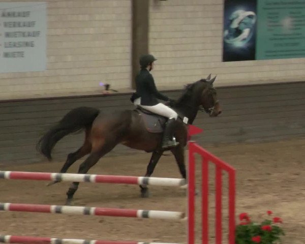 Reitturnier Heilbronn 2020