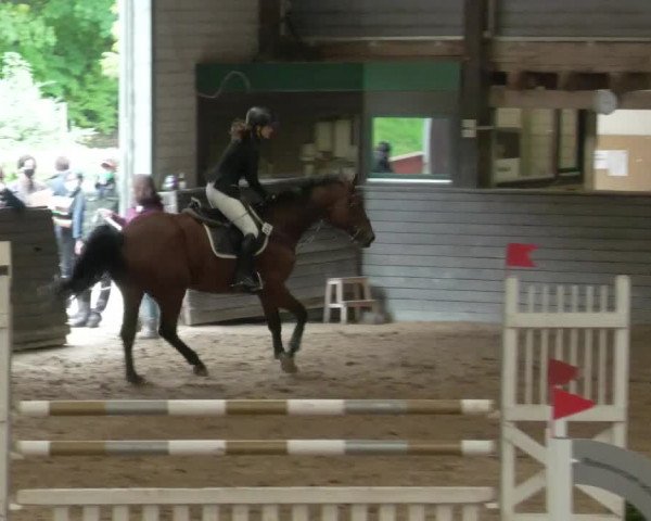 Reitturnier Heilbronn 2020
