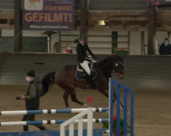 Reitturnier Heilbronn 2020