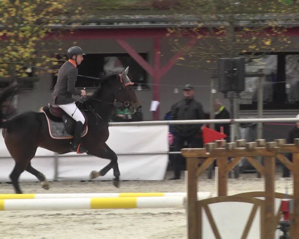 Reitturnier Achern 2020