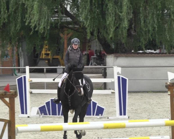 Reitturnier Achern 2020