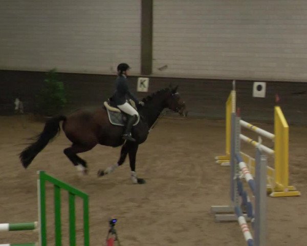 Reitturnier Heilbronn 2020