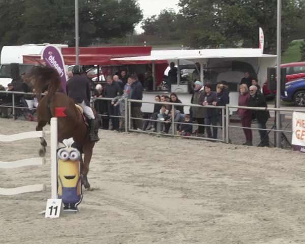 Reitturnier Achern 2020