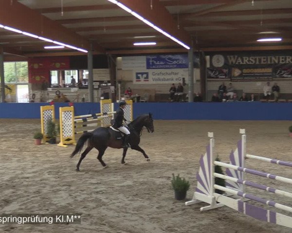 Reitturnier Isterberg 2020