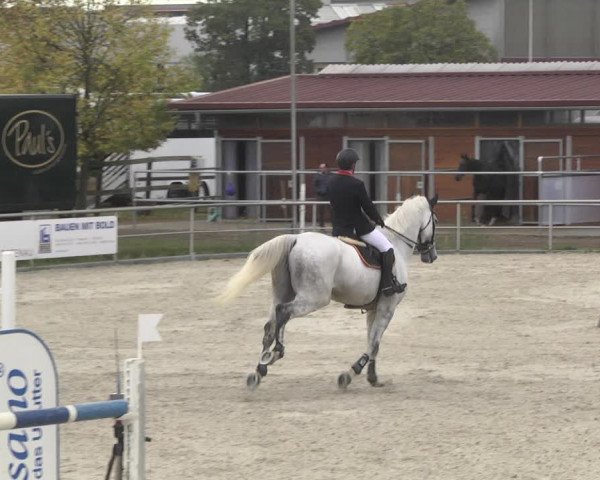 Reitturnier Achern 2020