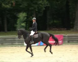 horse Invest Lantino (unknown, 2003)