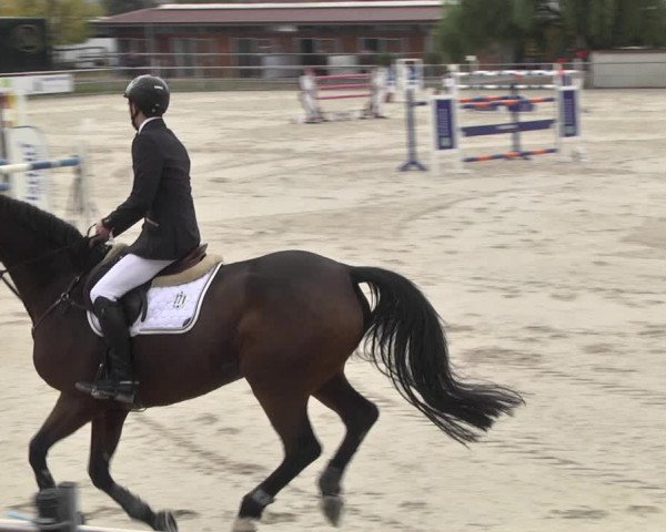 Reitturnier Achern 2020