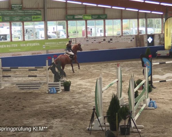 Reitturnier Isterberg 2020