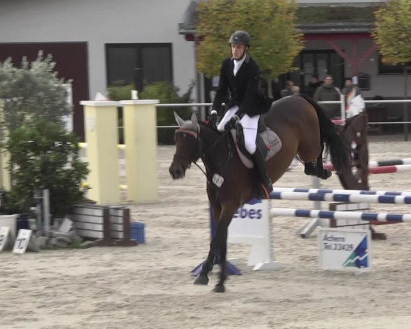 Reitturnier Achern 2020