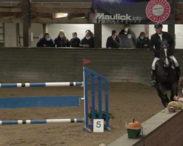 Reitturnier Heilbronn 2020