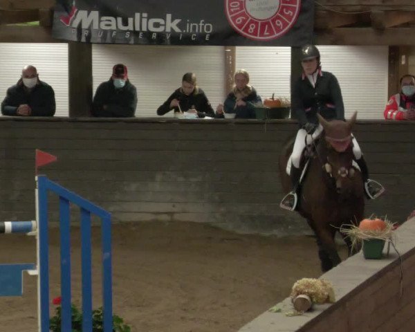 Reitturnier Heilbronn 2020