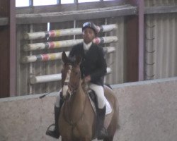 Zuchtstute Balarina (Oldenburger, 2004, von Balou du Rouet)