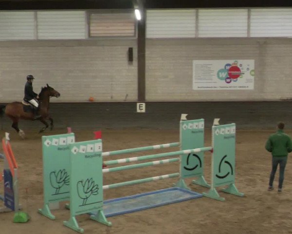 Reitturnier Heilbronn 2020