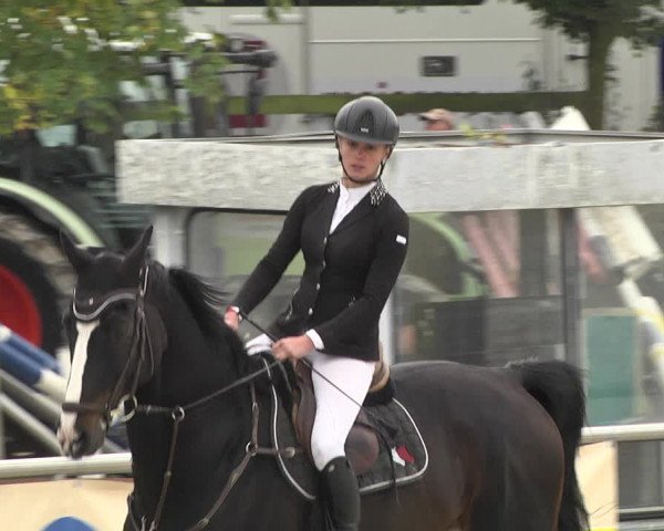 Reitturnier Achern 2020