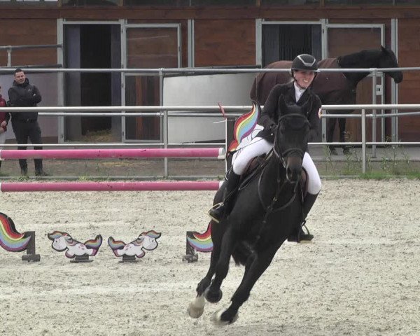 Reitturnier Achern 2020