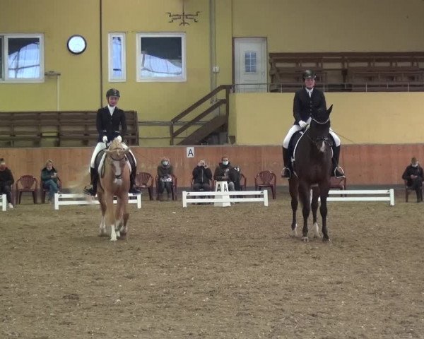 Reitturnier Frechen-Grefrath - Sonnenhof 2020
