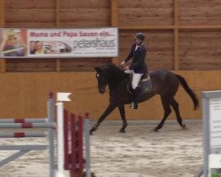 jumper Quickstepp 9 (Rhinelander, 2008, from Quick Star)
