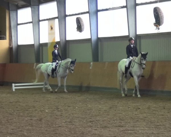 Reitturnier Frechen-Grefrath - Sonnenhof 2020