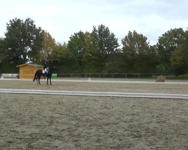 Reitturnier Lindlar-Falkenhof 2020