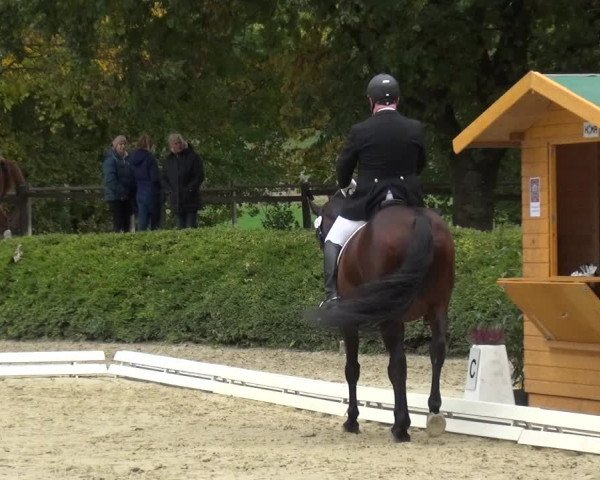Reitturnier Lindlar-Falkenhof 2020