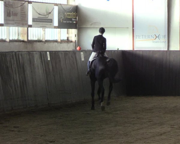 Reitturnier St. Peter Ording 2020