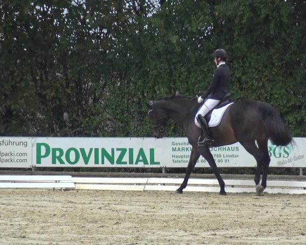 Reitturnier Lindlar-Falkenhof 2020