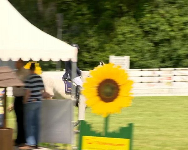 jumper Wizzy 2 (Holsteiner, 2009, from Cartani 4)