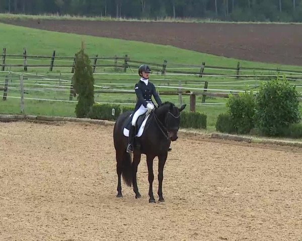 Reitturnier Brünst/Mfr. 2020