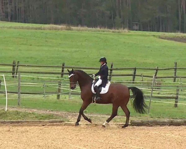 Reitturnier Brünst/Mfr. 2020