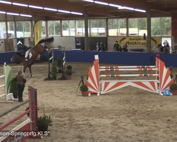 Reitturnier Isterberg 2020