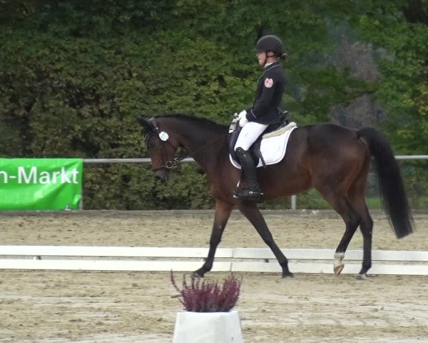 Reitturnier Lindlar-Falkenhof 2020