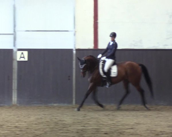 Reitturnier St. Peter Ording 2020