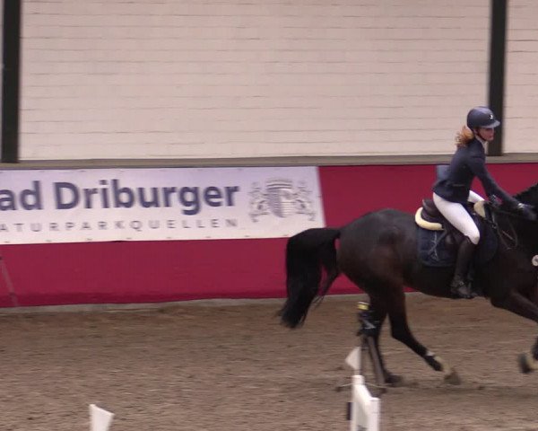 Reitturnier Salzkotten 2020