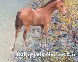 Pferd Aukoppels Meilenstein (Deutsches Reitpony, 2021, von Hesselteichs Movie Maker)