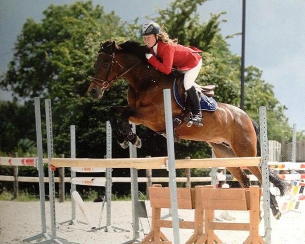Springpferd Kevrin ar Crano (Connemara-Pony, 1998, von Ready IV)