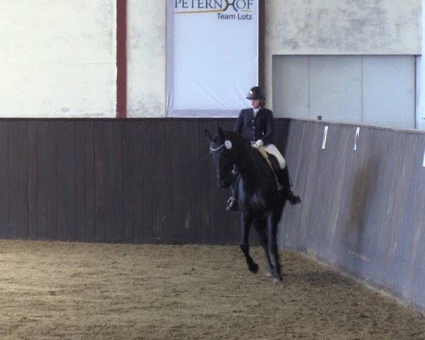 Reitturnier St. Peter Ording 2020