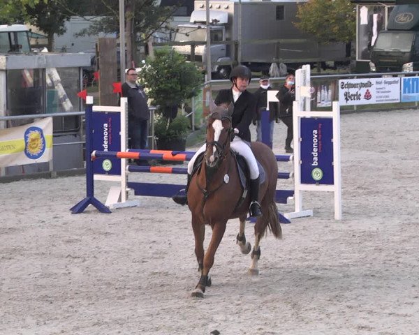 Reitturnier Achern 2020