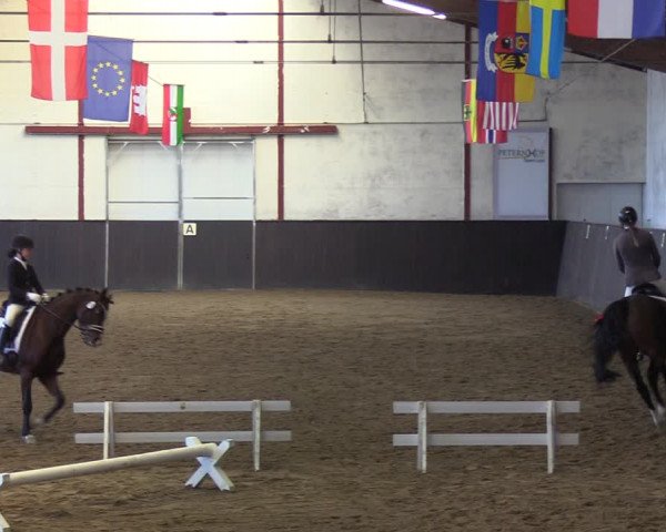 Reitturnier St. Peter Ording 2020