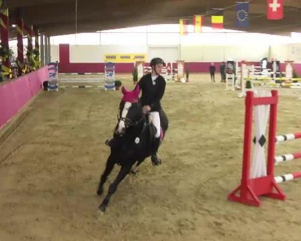 jumper Faszination Frieda (Oldenburg, 2007, from Stedinger)