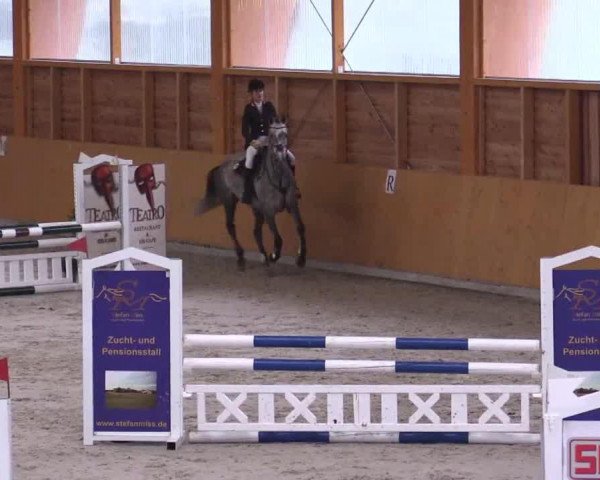 Springpferd Sweet little Sweeney (Irish Sport Horse, 2009, von Silvano)