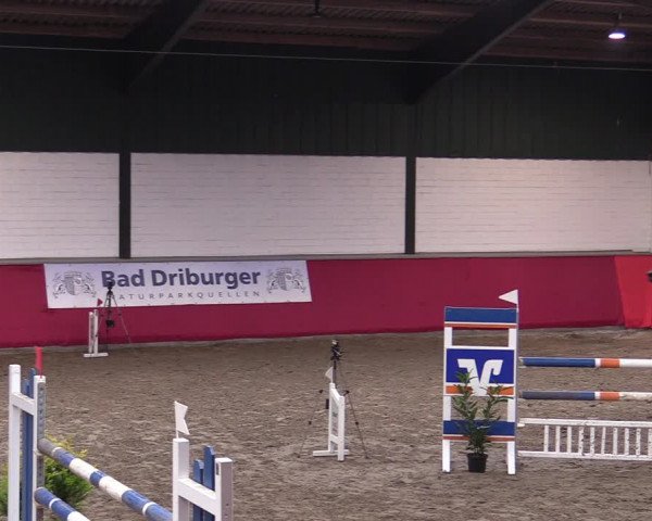 Reitturnier Salzkotten 2020