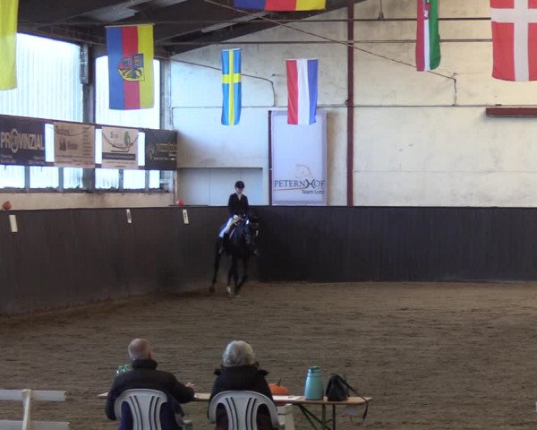 Reitturnier St. Peter Ording 2020
