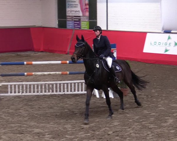 Reitturnier Salzkotten 2020