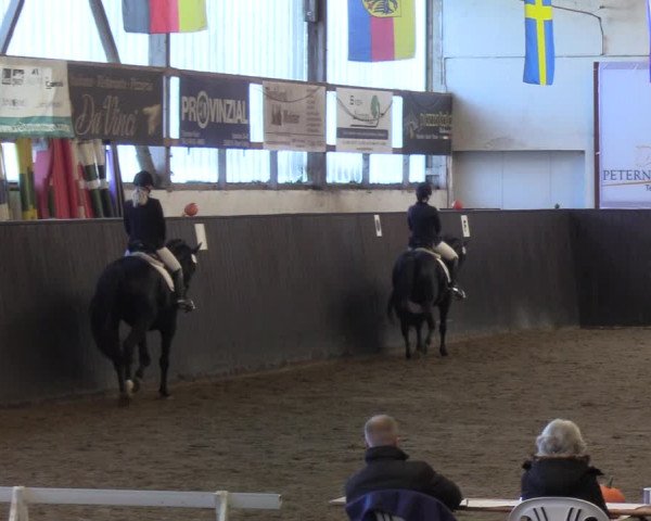Reitturnier St. Peter Ording 2020