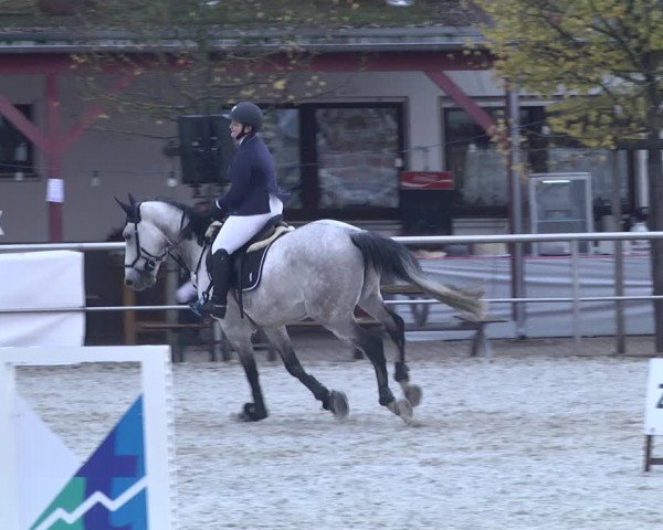 Reitturnier Achern 2020