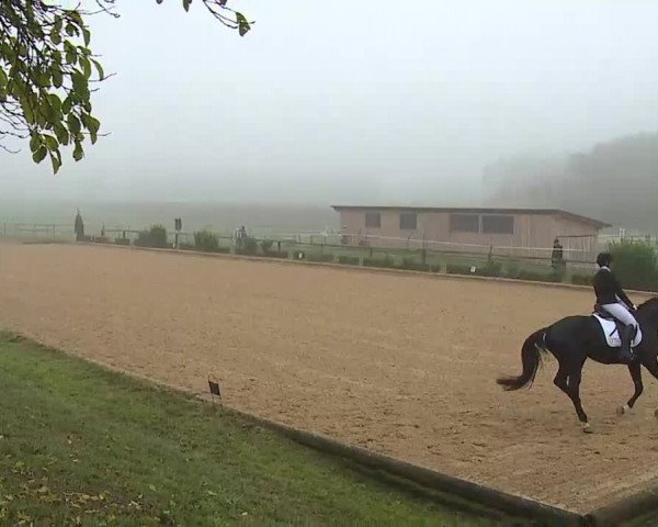 Reitturnier Brünst/Mfr. 2020