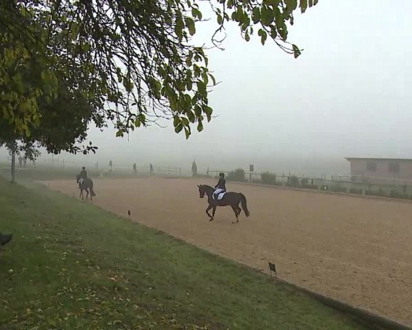 Reitturnier Brünst/Mfr. 2020
